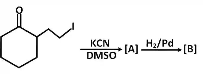 JEE Main 2019 (Online) 9th April Evening Slot Chemistry - Compounds Containing Nitrogen Question 175 English