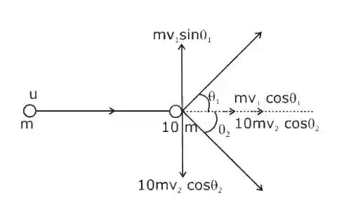 JEE Main 2020 (Online) 2nd September Evening Slot Physics - Center of Mass and Collision Question 71 English Explanation