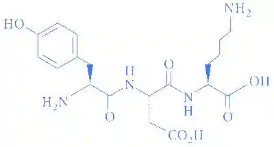 JEE Advanced 2020 Paper 2 Offline Chemistry - Biomolecules Question 16 English