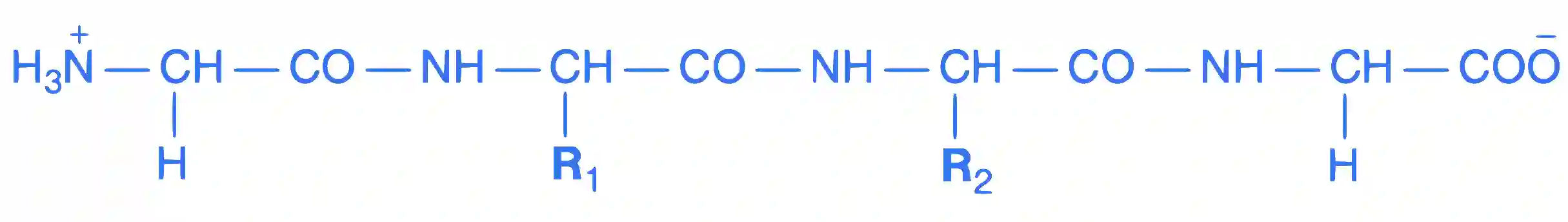 IIT-JEE 2012 Paper 1 Offline Chemistry - Biomolecules Question 10 English