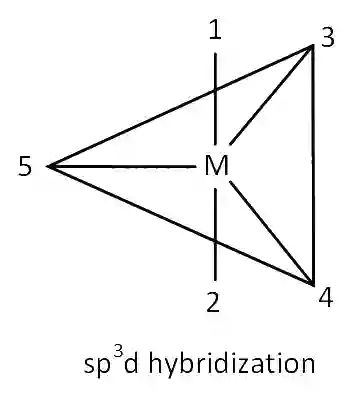 AIEEE 2004 Chemistry - Chemical Bonding & Molecular Structure Question 223 English Explanation 4
