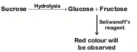 JEE Main 2020 (Online) 2nd September Evening Slot Chemistry - Biomolecules Question 118 English Explanation