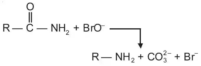 JEE Main 2021 (Online) 18th March Evening Shift Chemistry - Compounds Containing Nitrogen Question 135 English Explanation