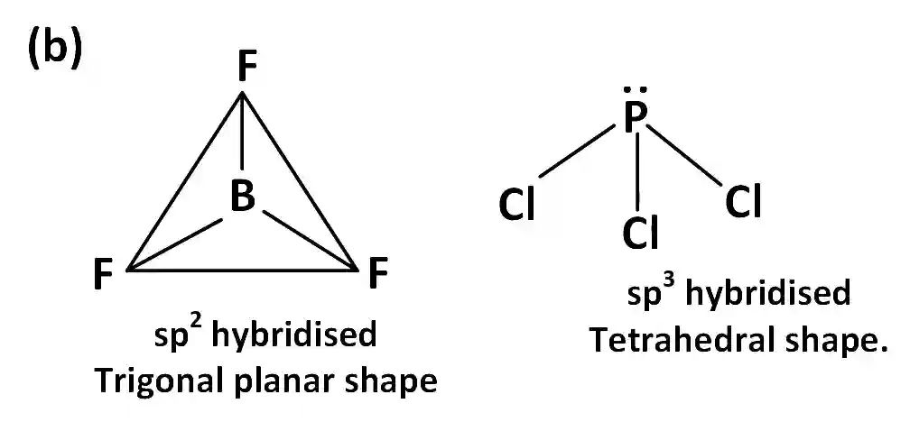 AIEEE 2003 Chemistry - Chemical Bonding & Molecular Structure Question 228 English Explanation 2