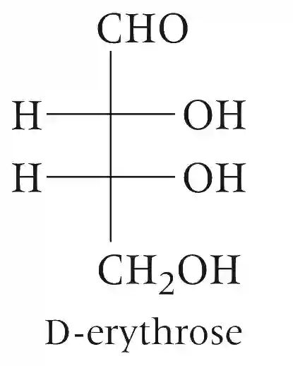 JEE Advanced 2020 Paper 1 Offline Chemistry - Basics of Organic Chemistry Question 32 English 1