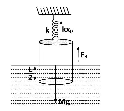 JEE Main 2013 (Offline) Physics - Properties of Matter Question 250 English Explanation