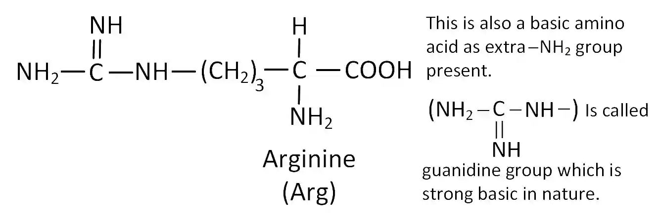 JEE Main 2019 (Online) 9th January Morning Slot Chemistry - Biomolecules Question 141 English Explanation 4