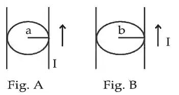 JEE Main 2021 (Online) 27th July Evening Shift Physics - Magnetic Effect of Current Question 113 English
