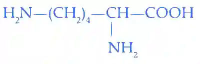 JEE Main 2023 (Online) 8th April Morning Shift Chemistry - Biomolecules Question 36 English Explanation 3