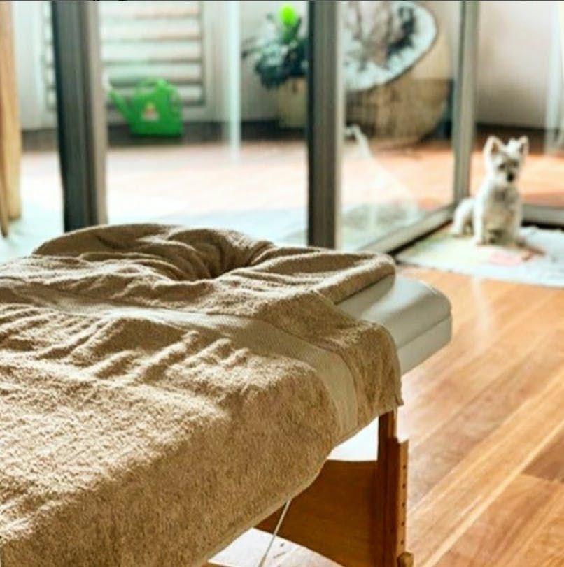 Priscilla Ramos Terapeuta