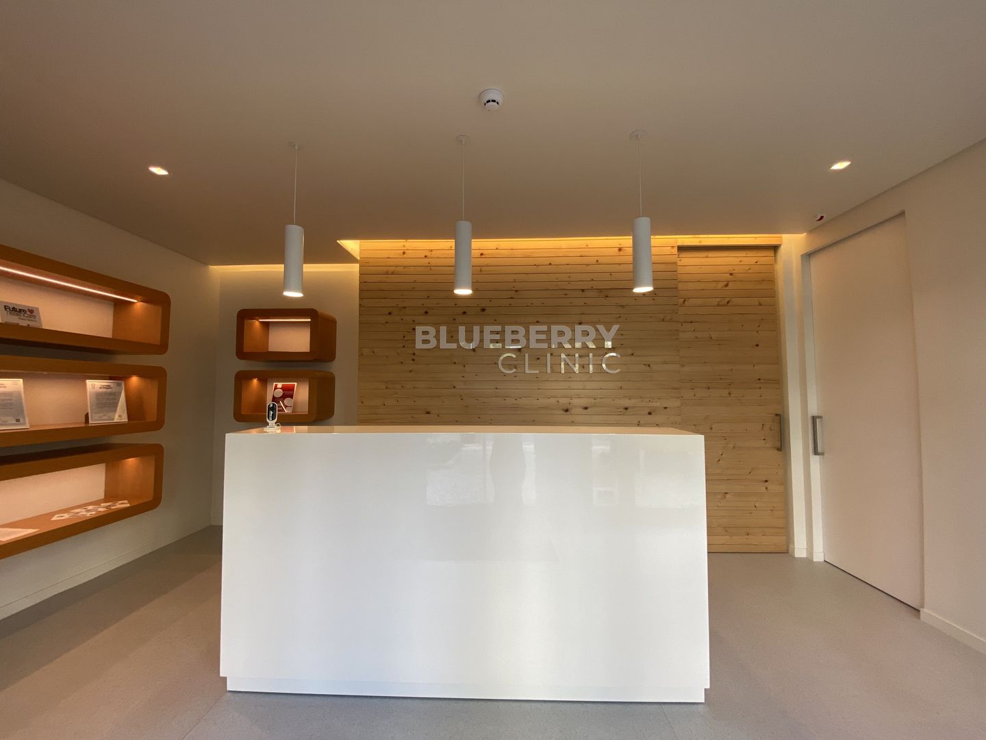 Blueberry Clinic - Image 4