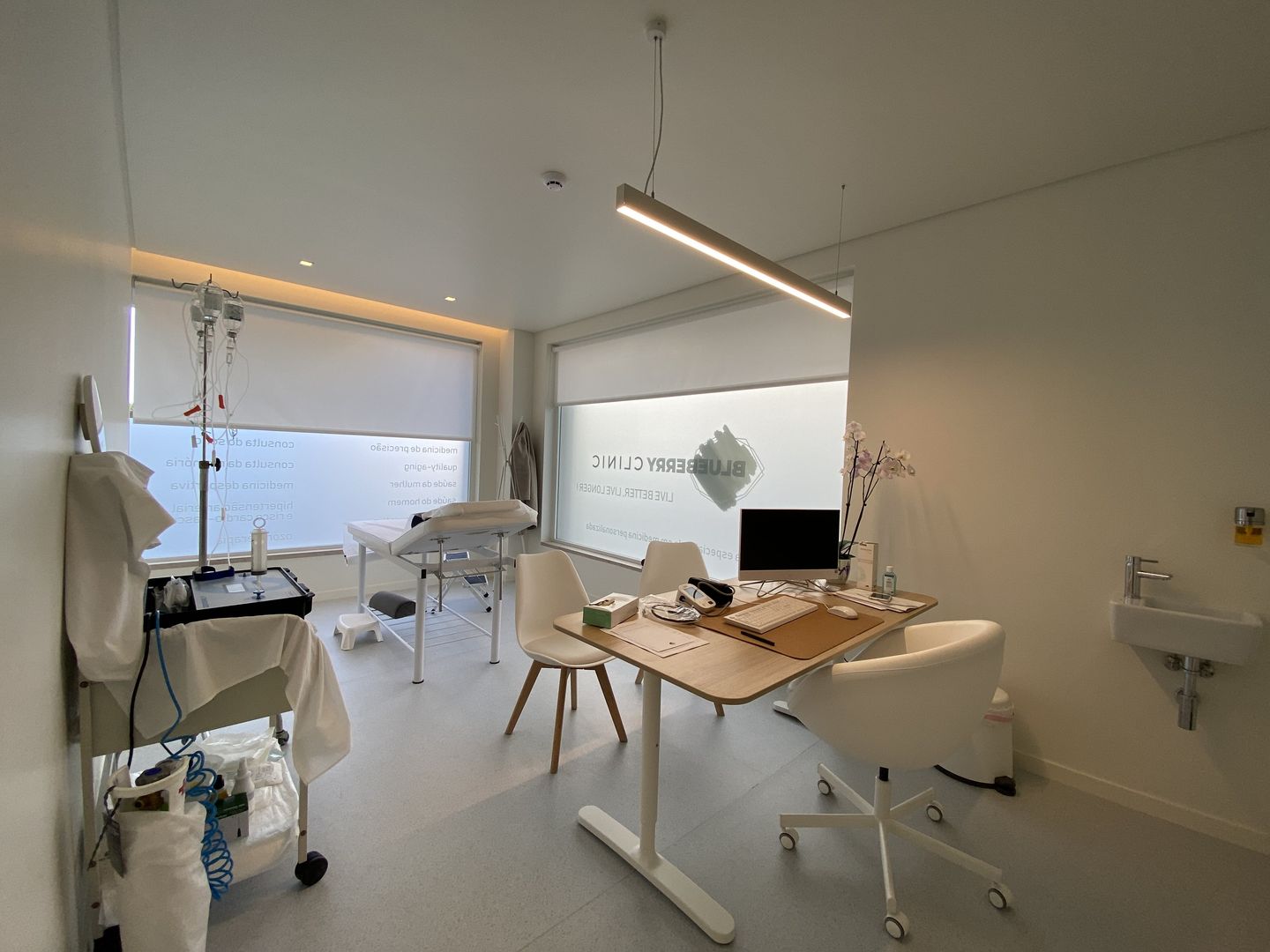 Blueberry Clinic - Image 2