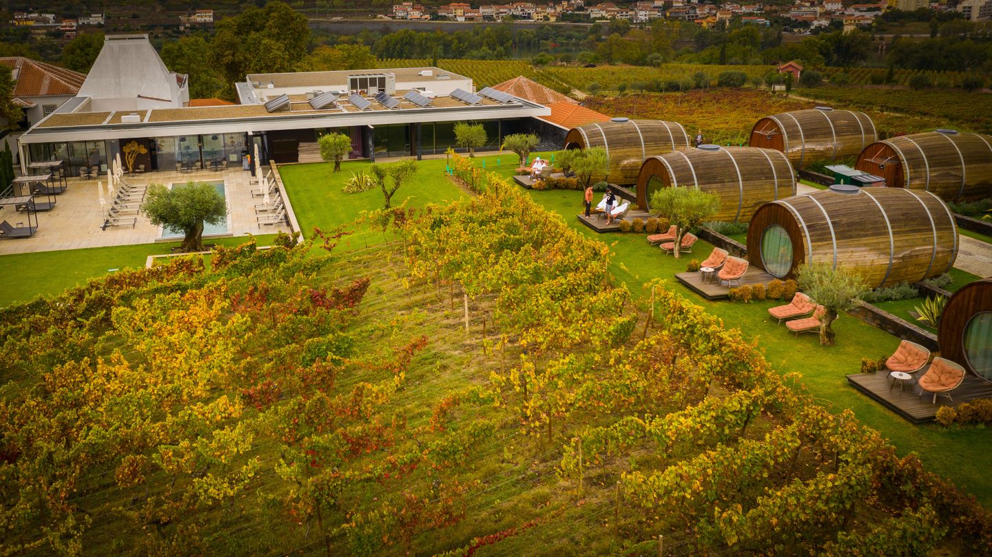 Vineyard Spa by Pacheca - Image 7