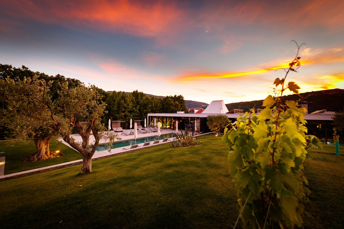 Vineyard Spa by Pacheca - Image 6