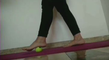 Sónia Ribeiro Fisio - Image 5