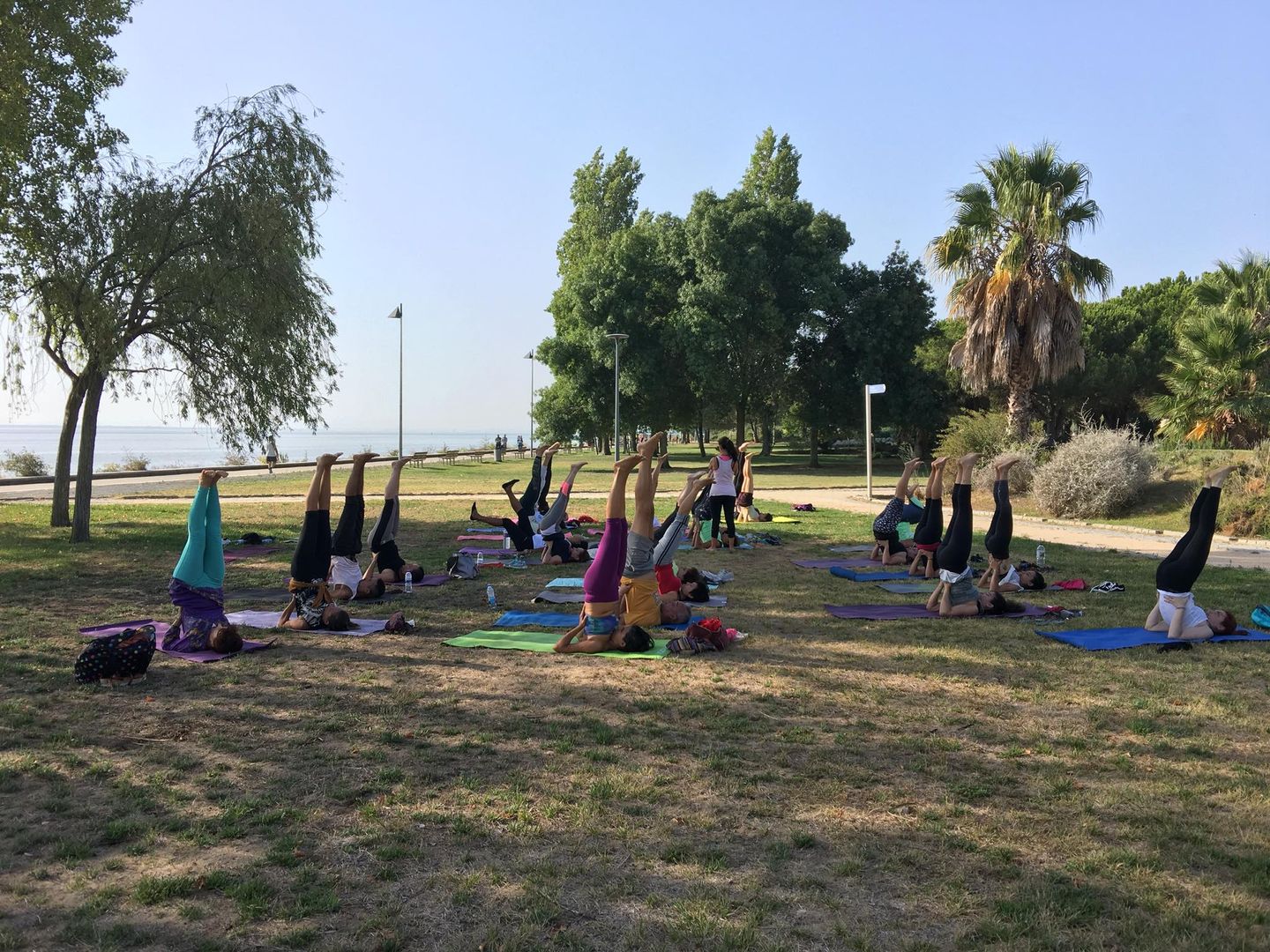 Instituto Português de Yoga e Mindbody - Domicílio - Image 1