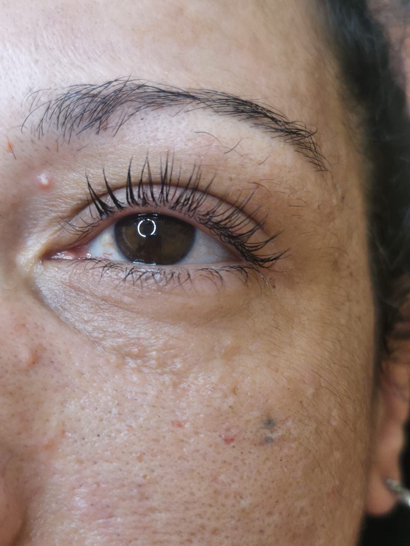 Susana Caldeira Lash and Brow Designer - Image 5