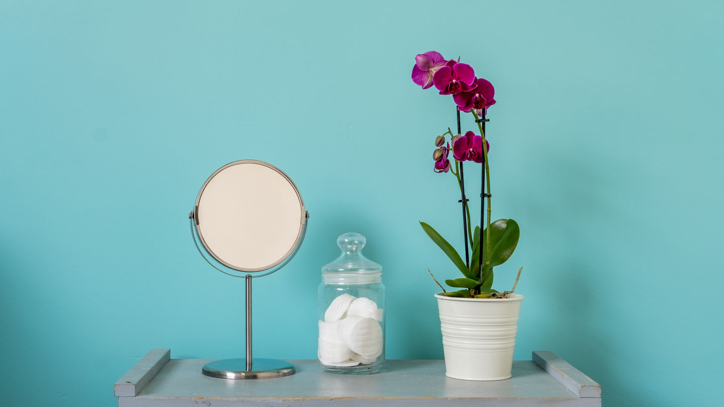 Lux Clinic - Image 6