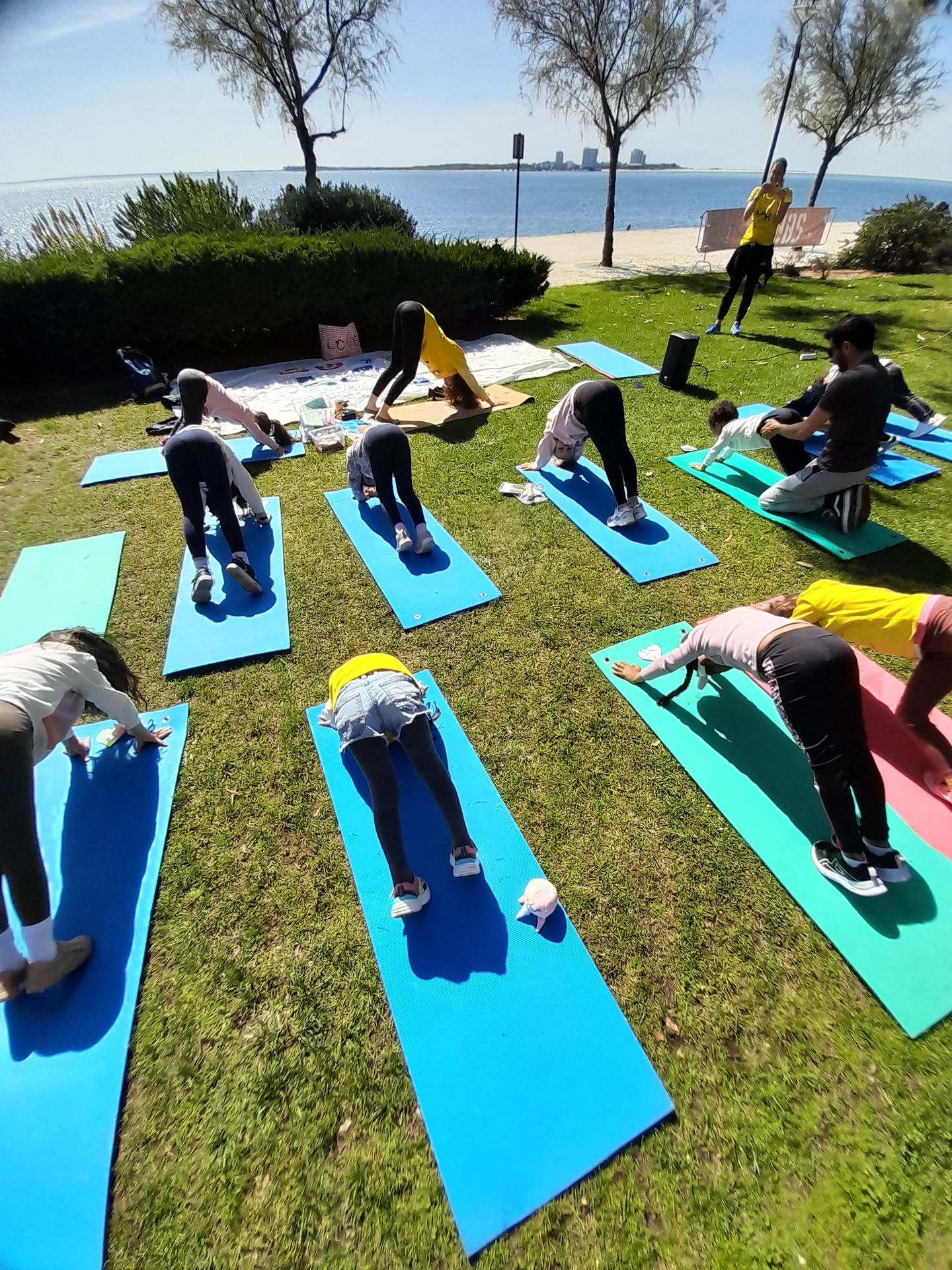A Árvore que Ri - Yoga para a Família