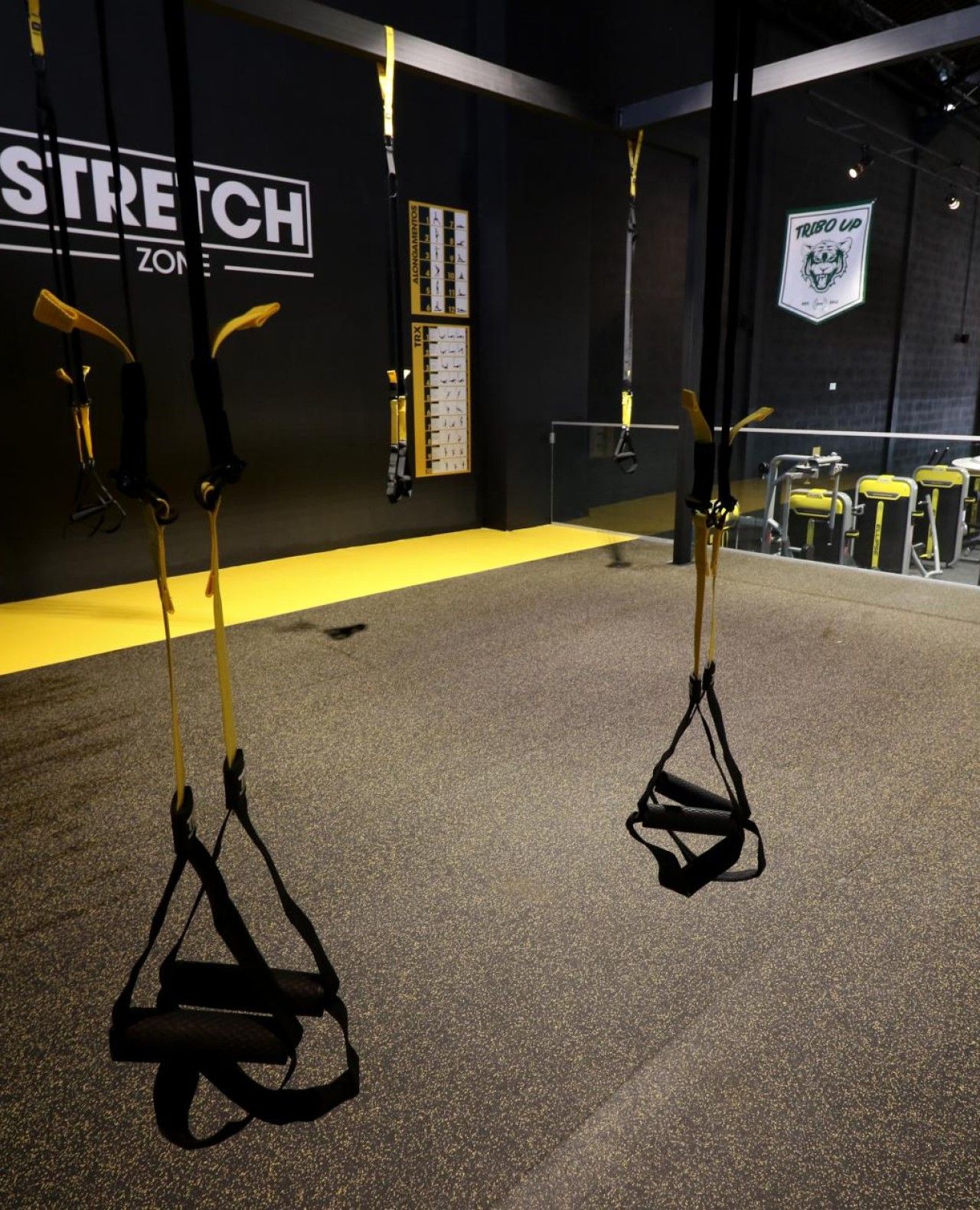 Fitness UP - Paços de Ferreira - Image 6