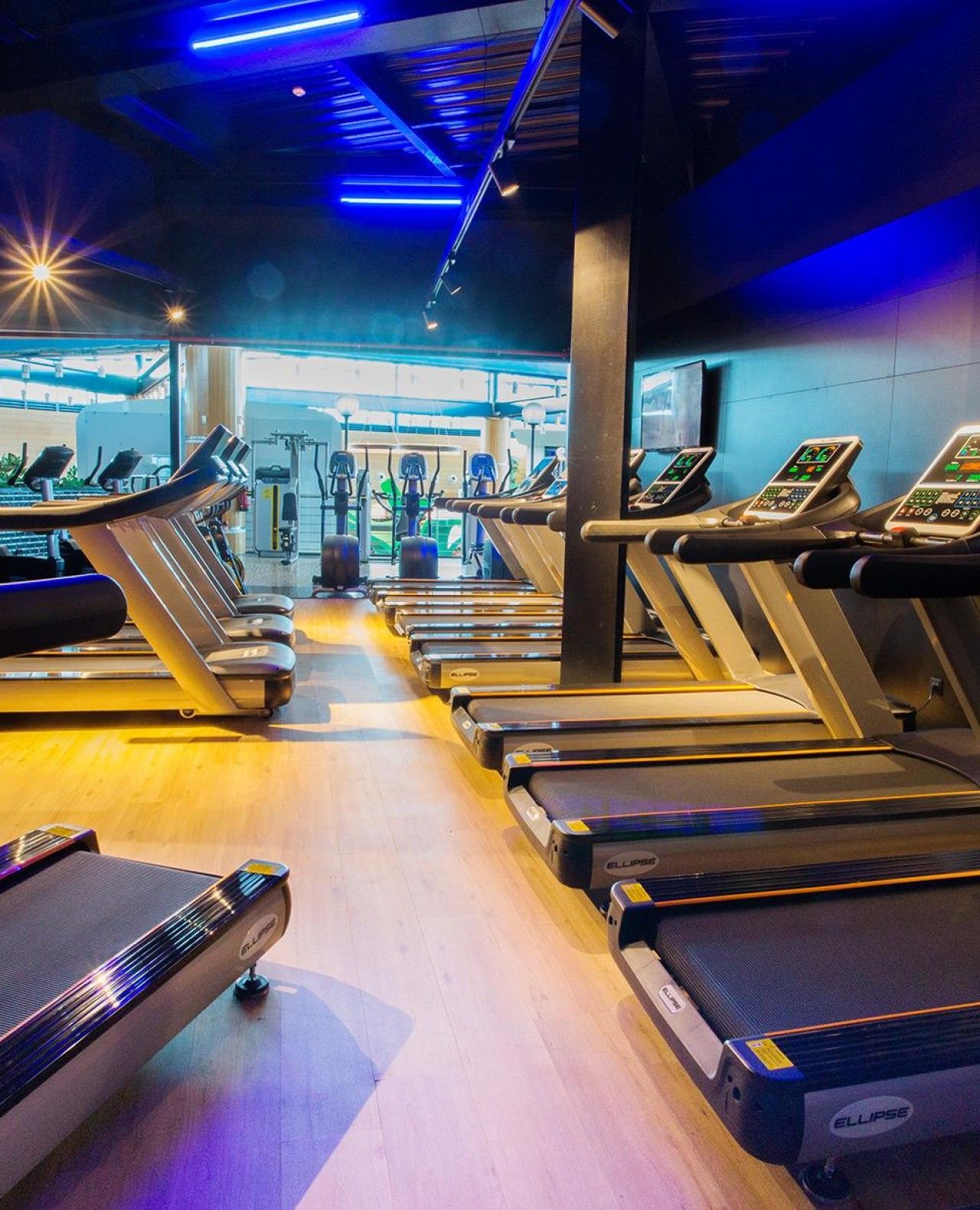 Fitness UP - Maia Shopping - Image 6