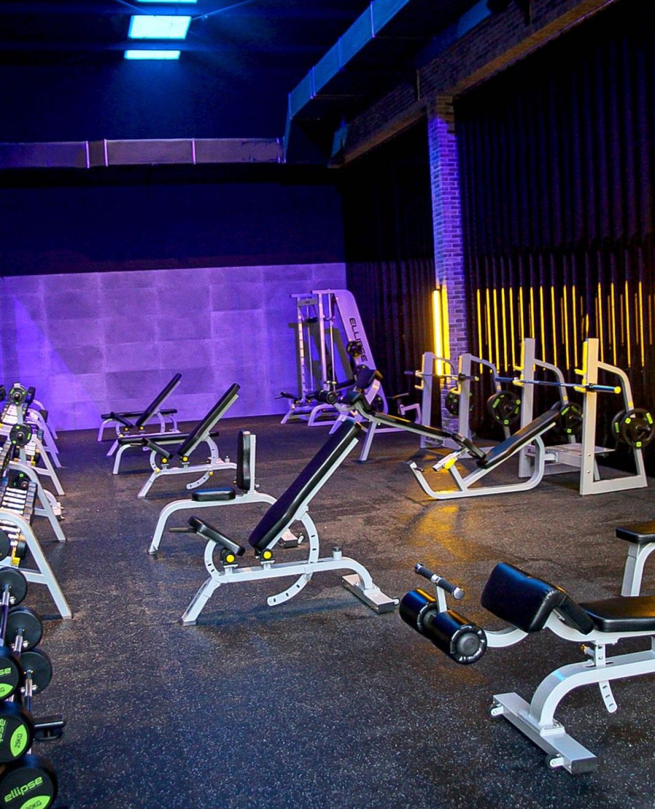 Fitness UP - Trofa - Image 3