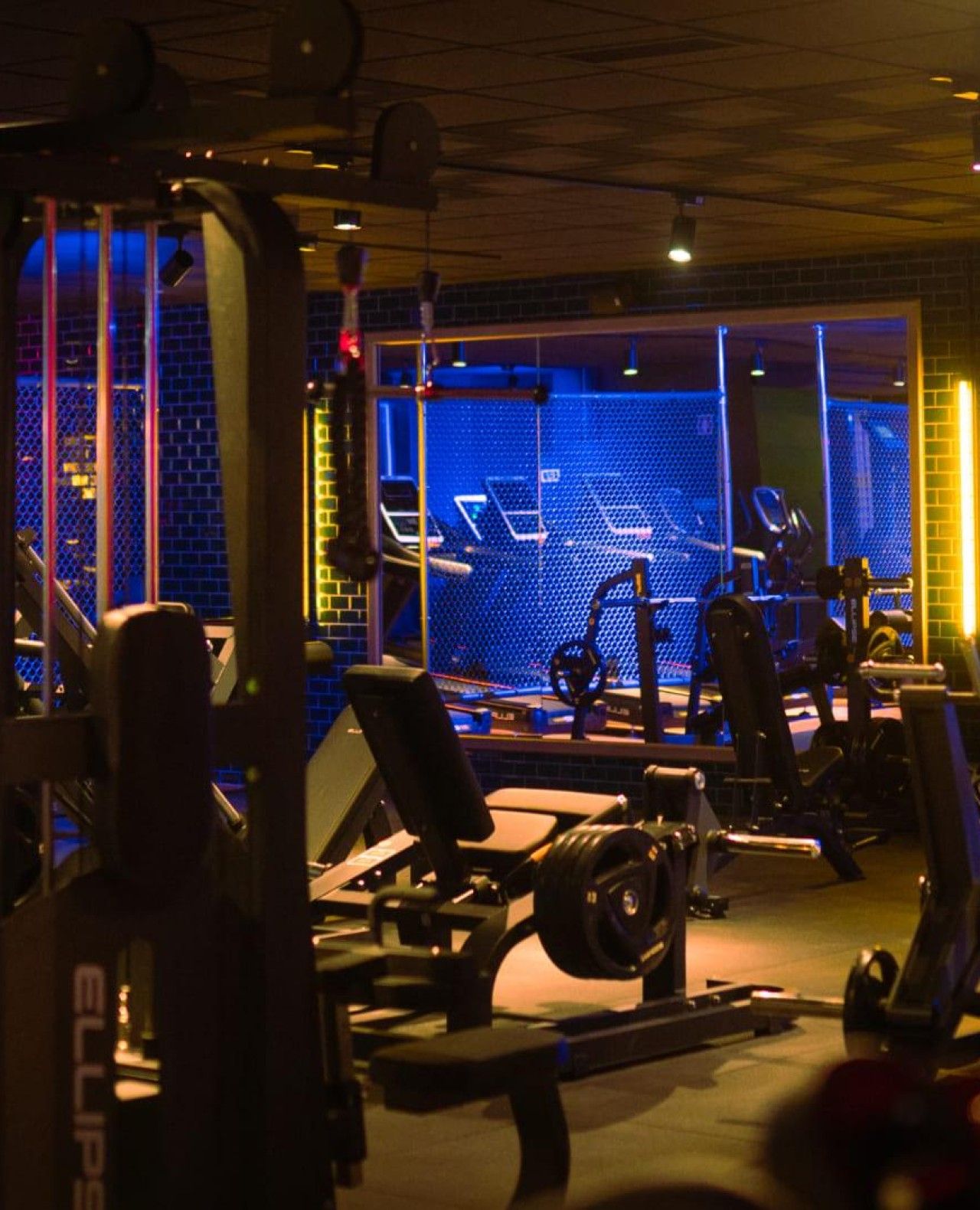 Fitness UP - Zona Industrial - Image 6