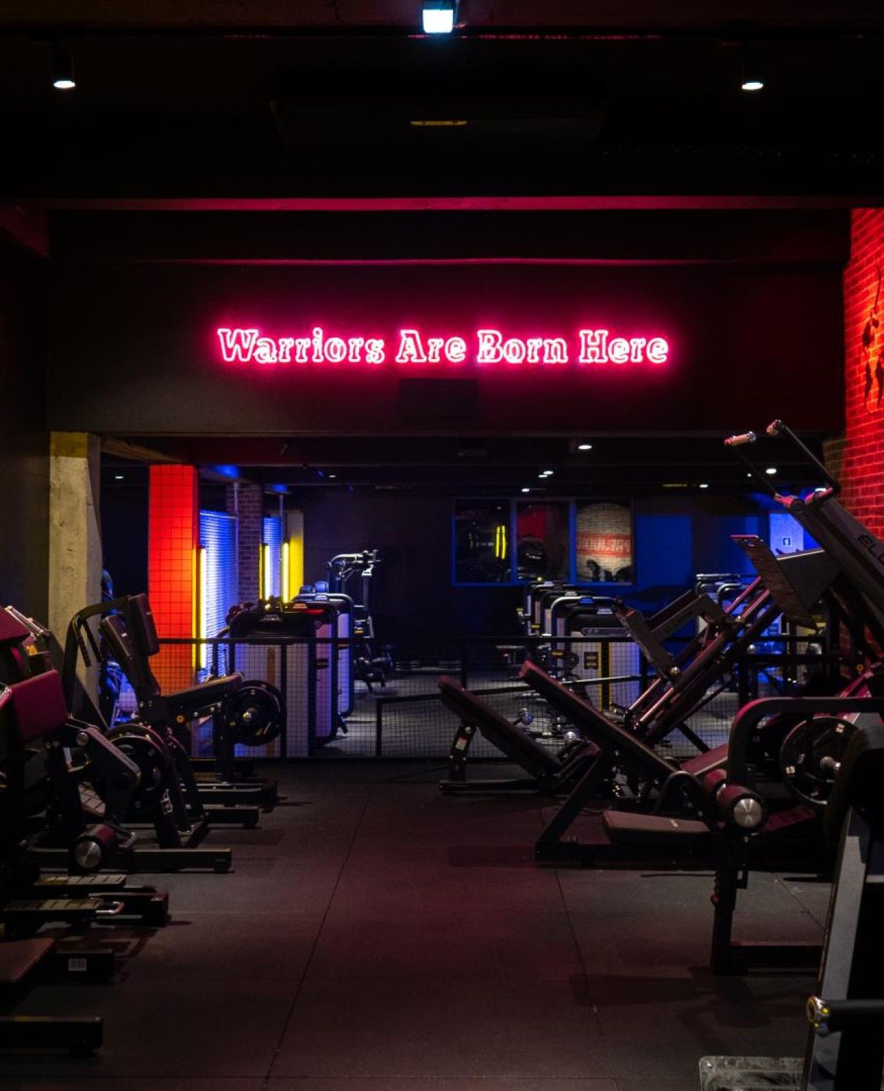 Fitness UP - Carcavelos - Image 5