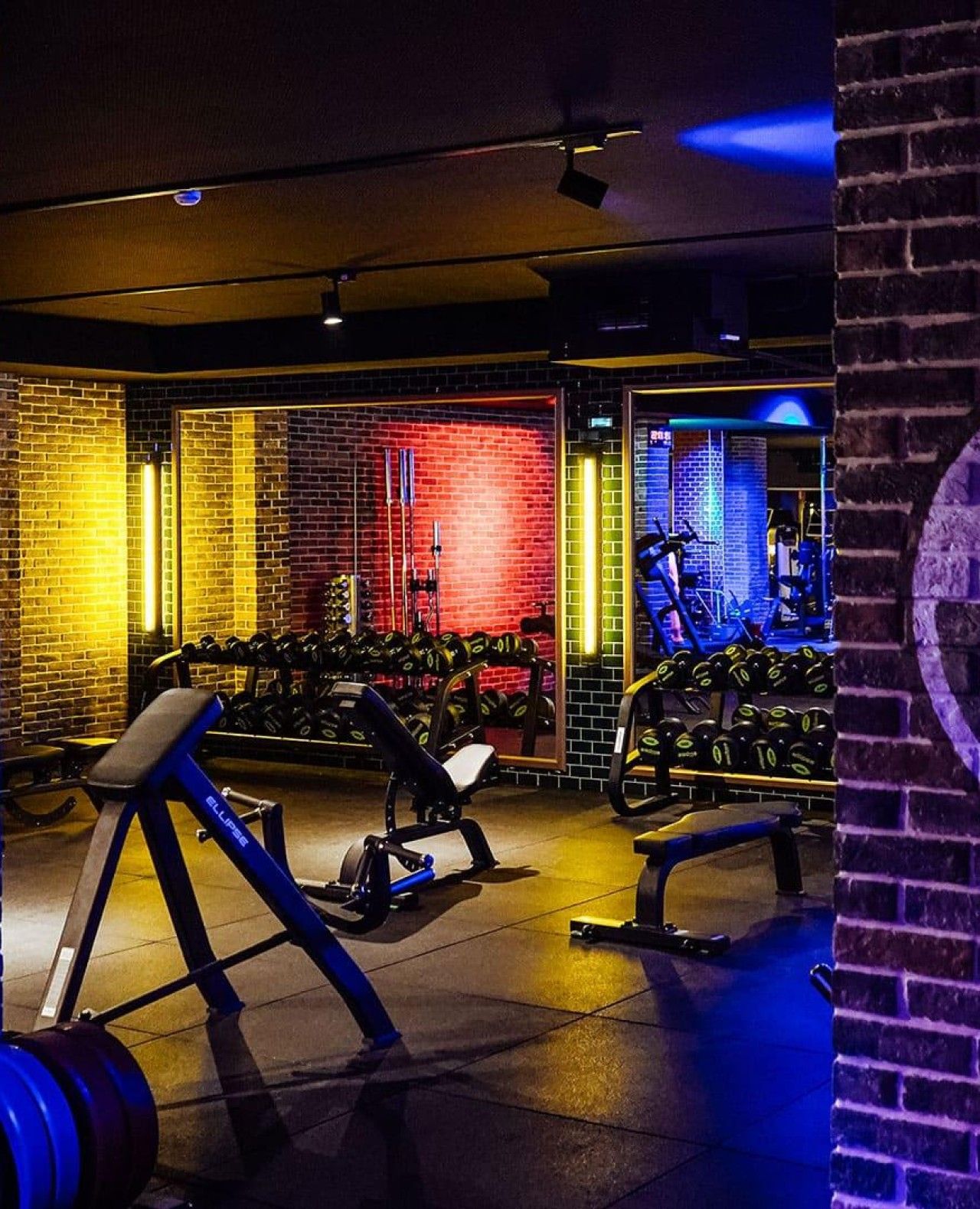 Fitness UP - Amial - Image 3