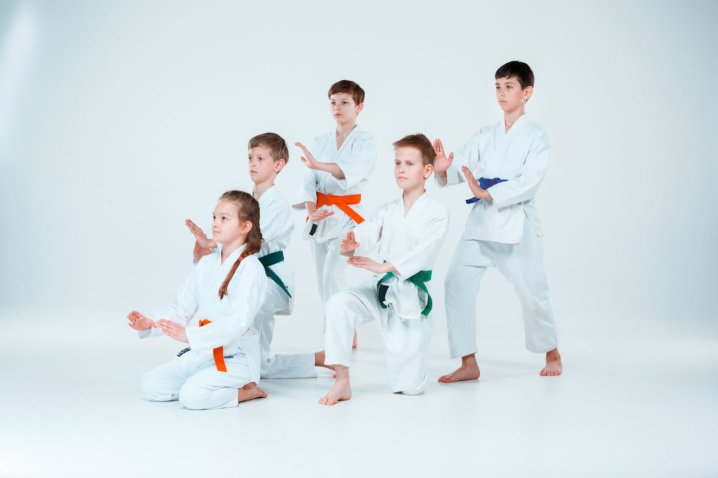 Sensei Urso - Image 5