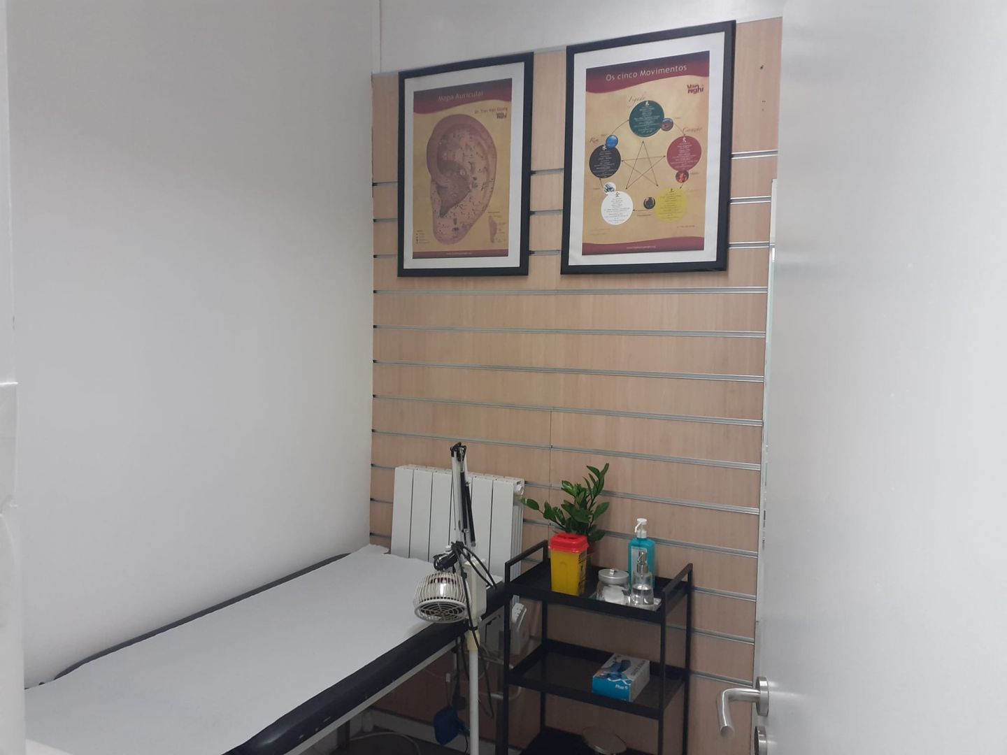 Medicina Chinesa - Dra Gislayne Vieira - Image 11