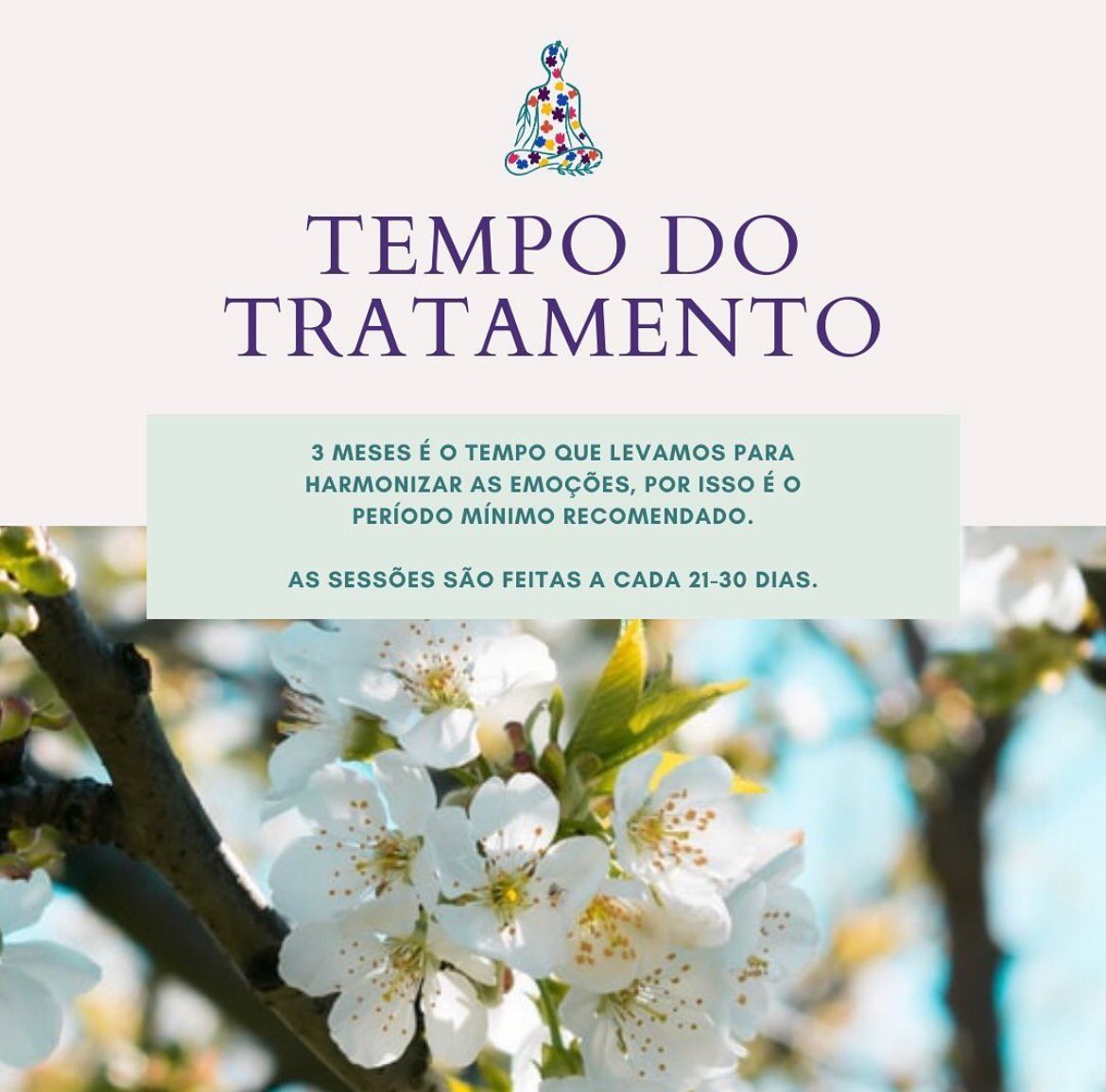 Saber e Ser Terapia Floral - Image 5