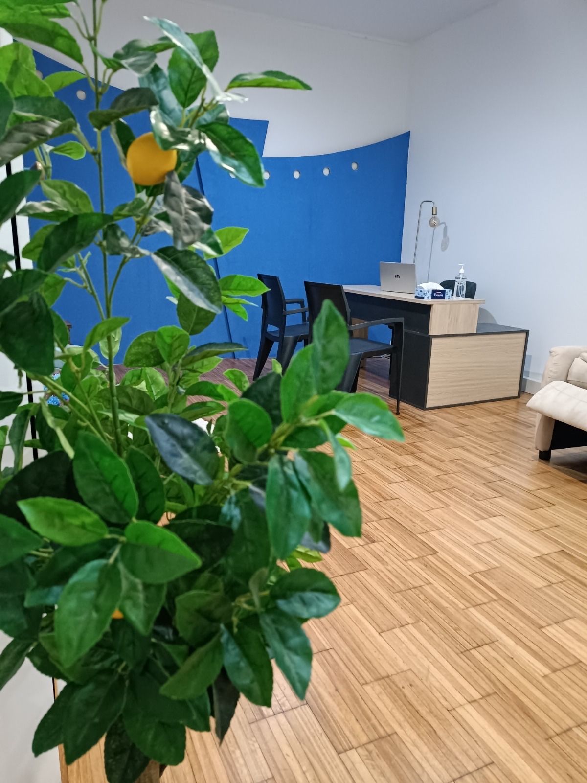 Centro Andreia Costa - Image 2
