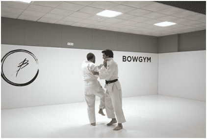 Bowgym - Image 5