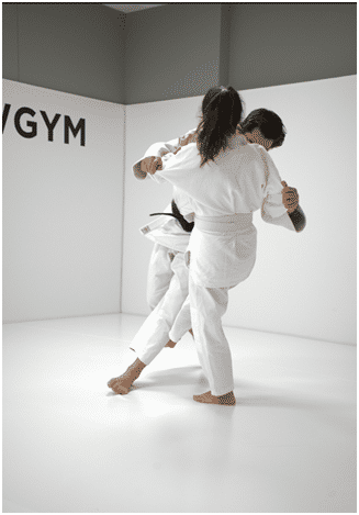Bowgym - Image 3