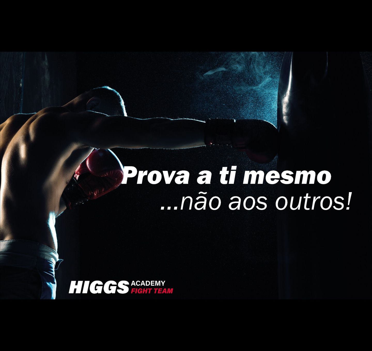 Higgs Academy Fight Team - Image 7