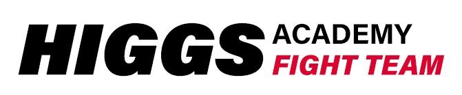 Higgs Academy Fight Team - Image 5
