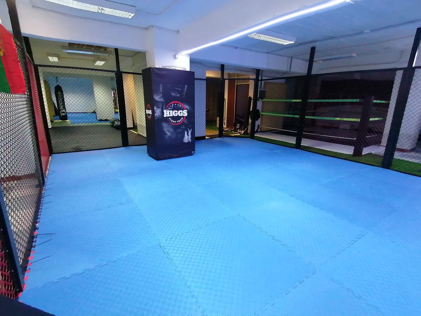 Higgs Academy Fight Team - Image 4
