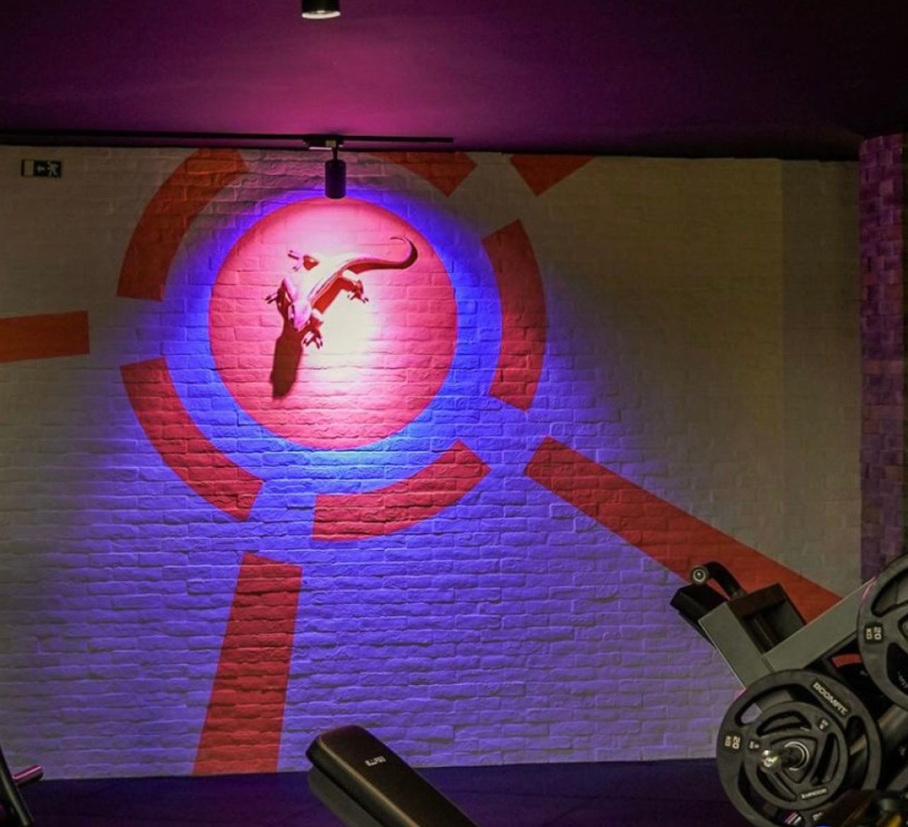 Fitness UP - Parede - Image 10