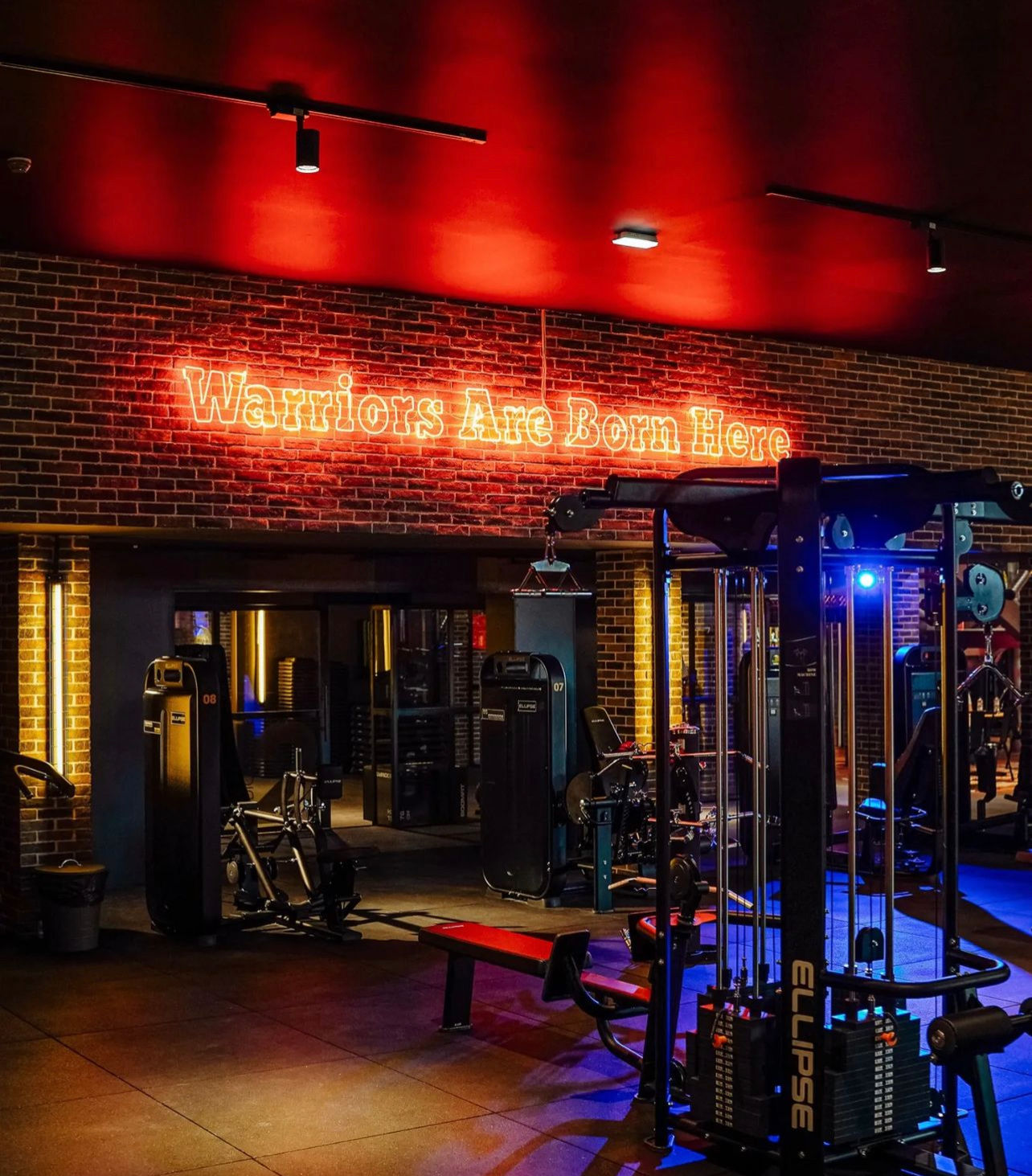 Fitness UP - São João de Ver - Image 10