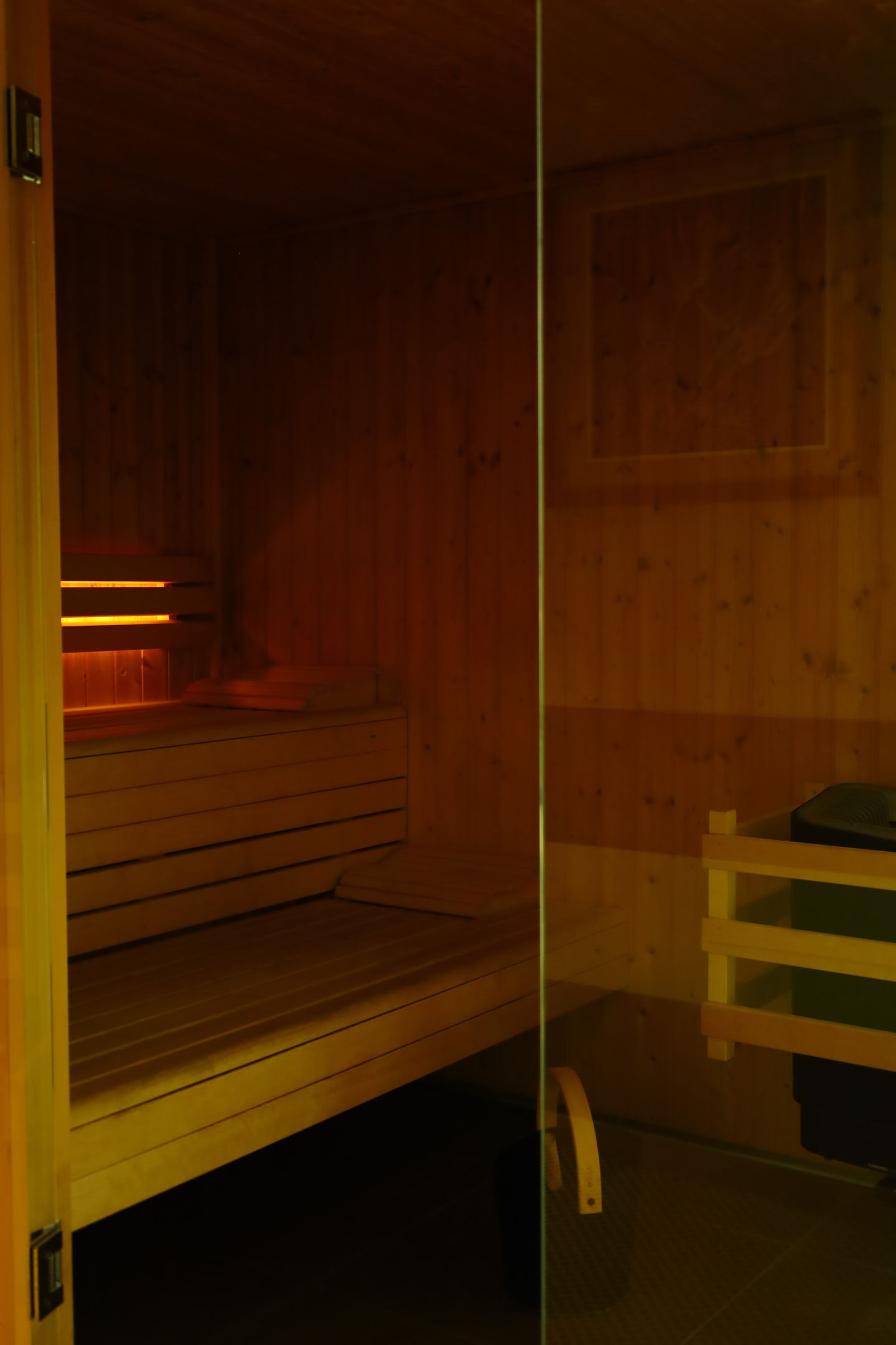 Satsanga Wellness Tomar - Image 5