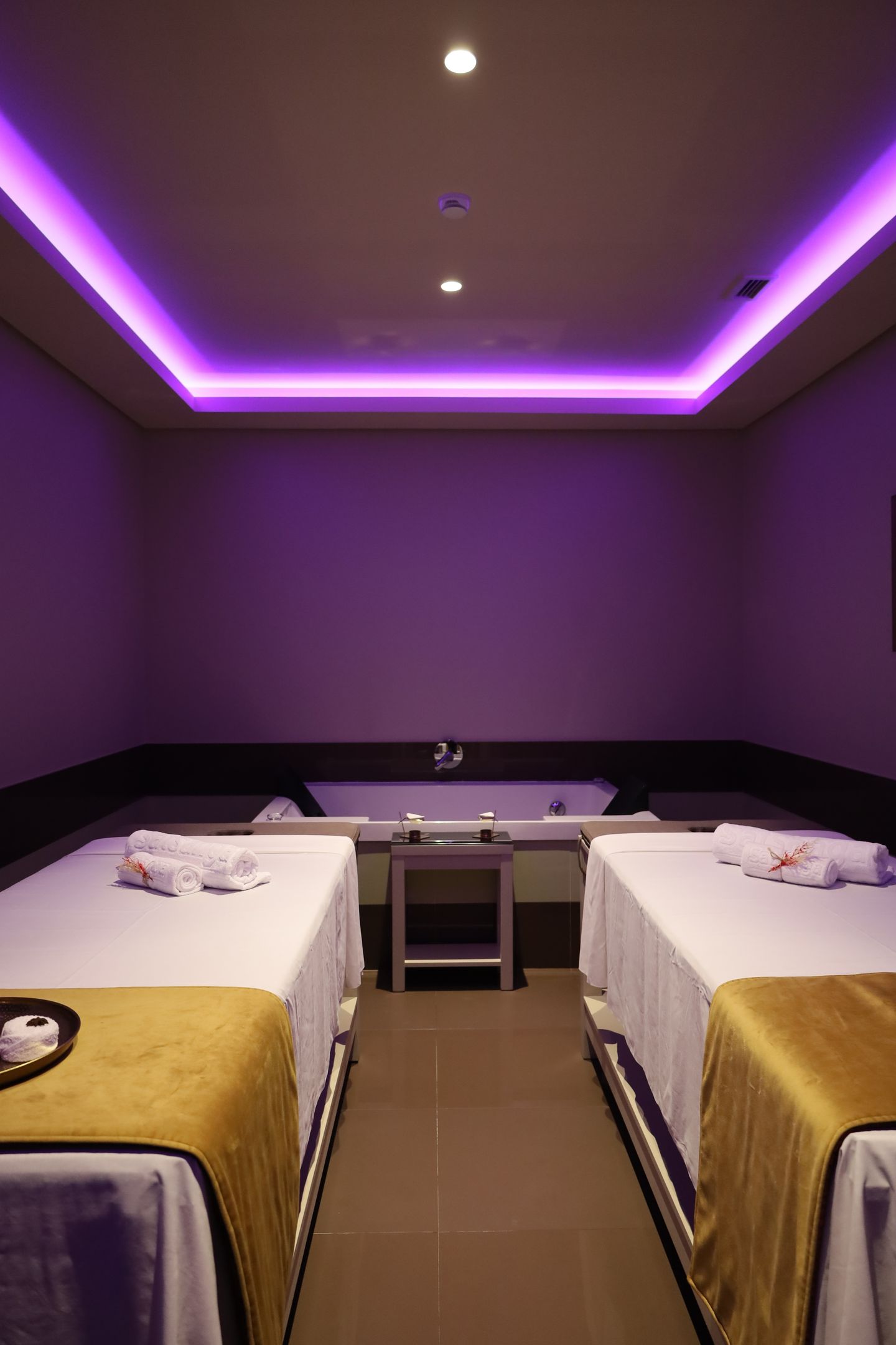 Satsanga Wellness Tomar - Image 3