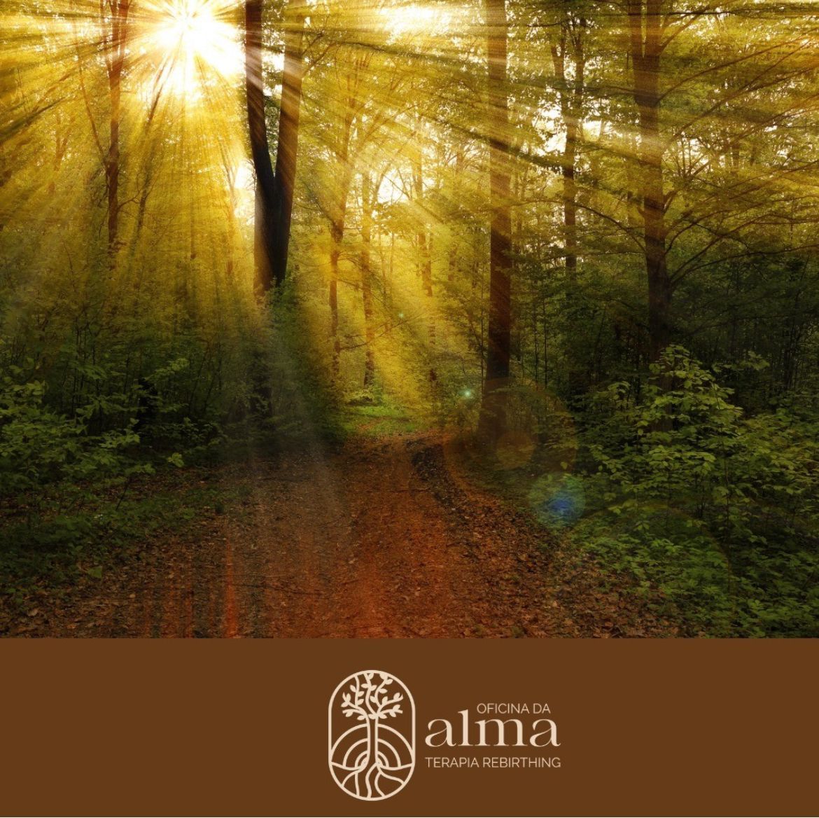Oficina de Alma Rebirthing - Image 8