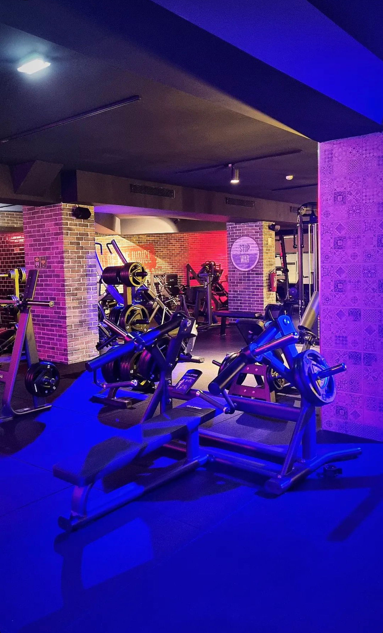 Fitness UP - Faro - Image 31