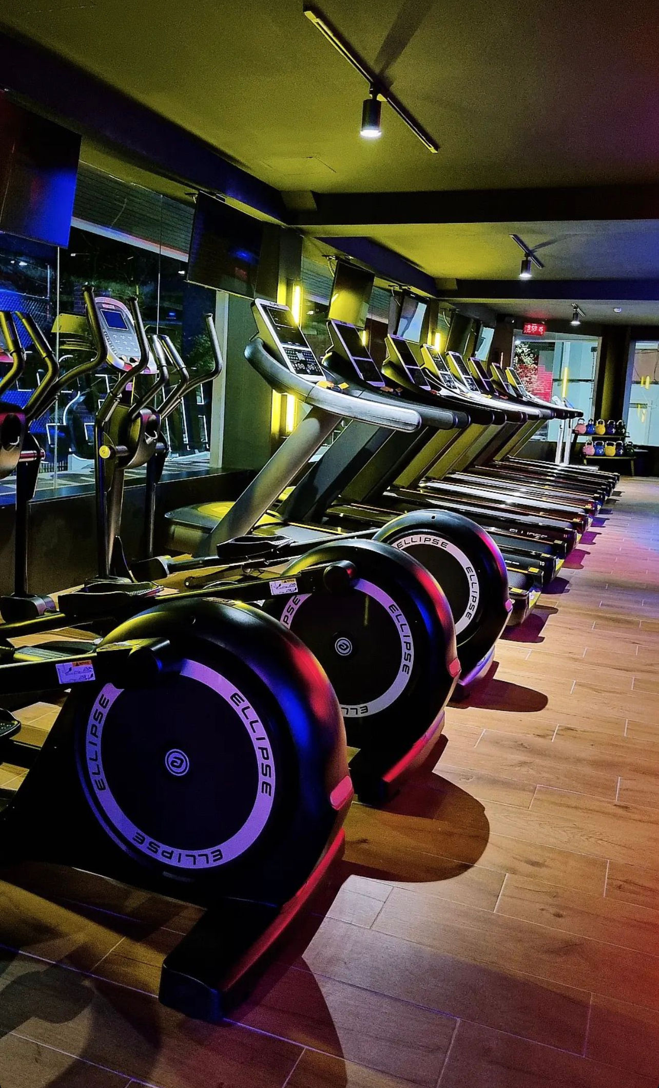 Fitness UP - Faro - Image 17