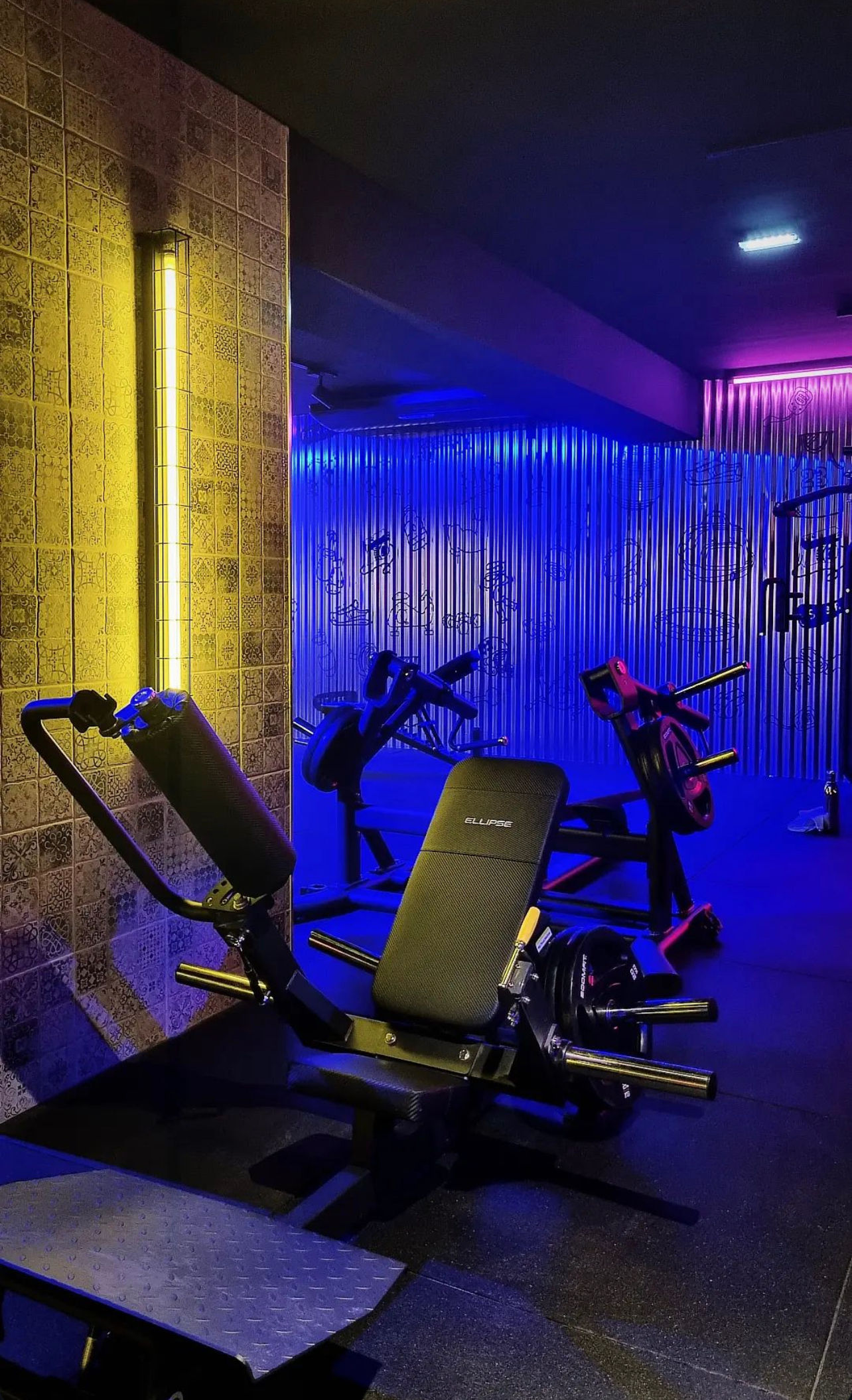 Fitness UP - Faro - Image 27