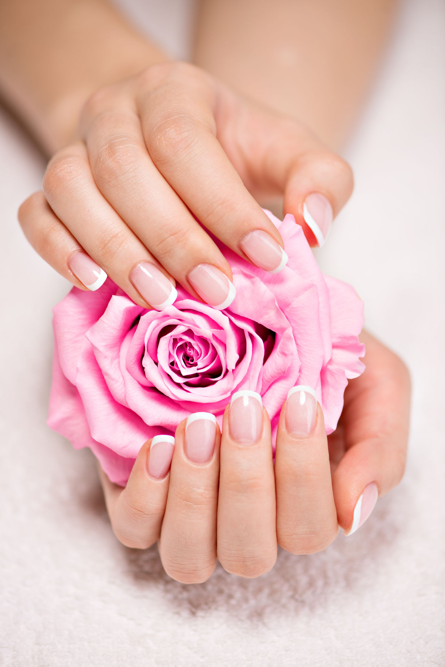 Beauty Space - Image 6