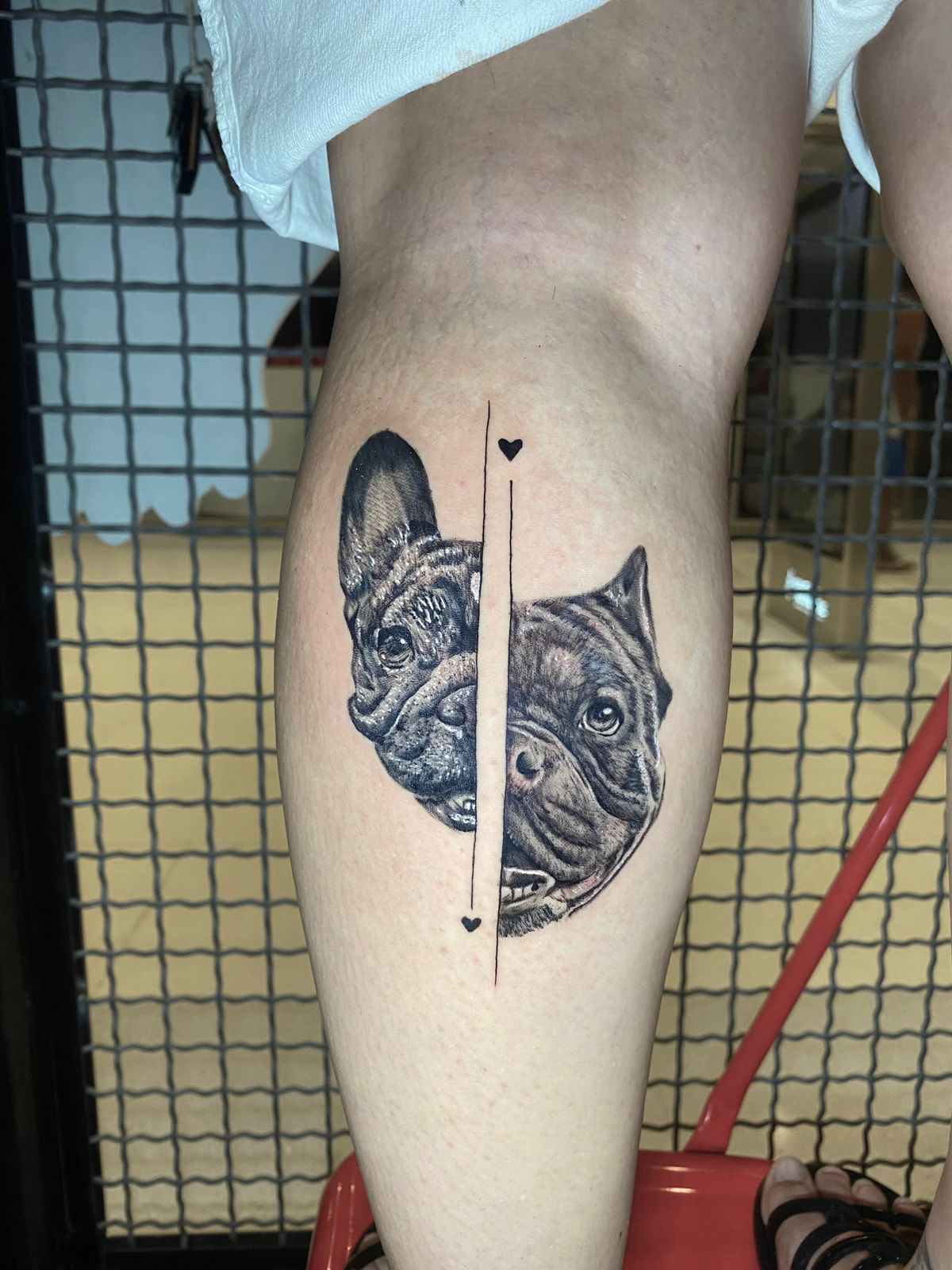 Folivora Tattoo - Anchieta - Image 4