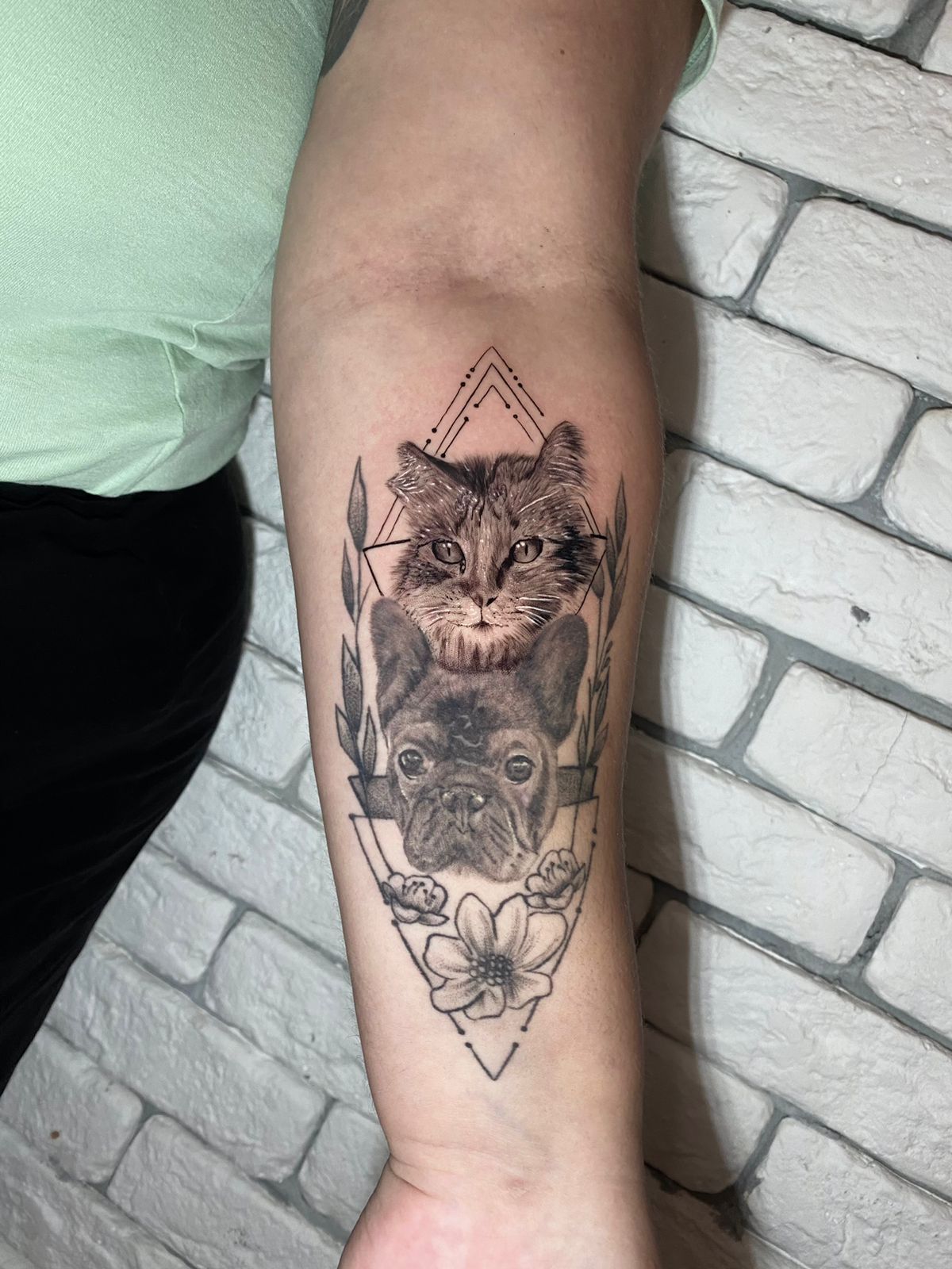 Folivora Tattoo - Anchieta - Image 11