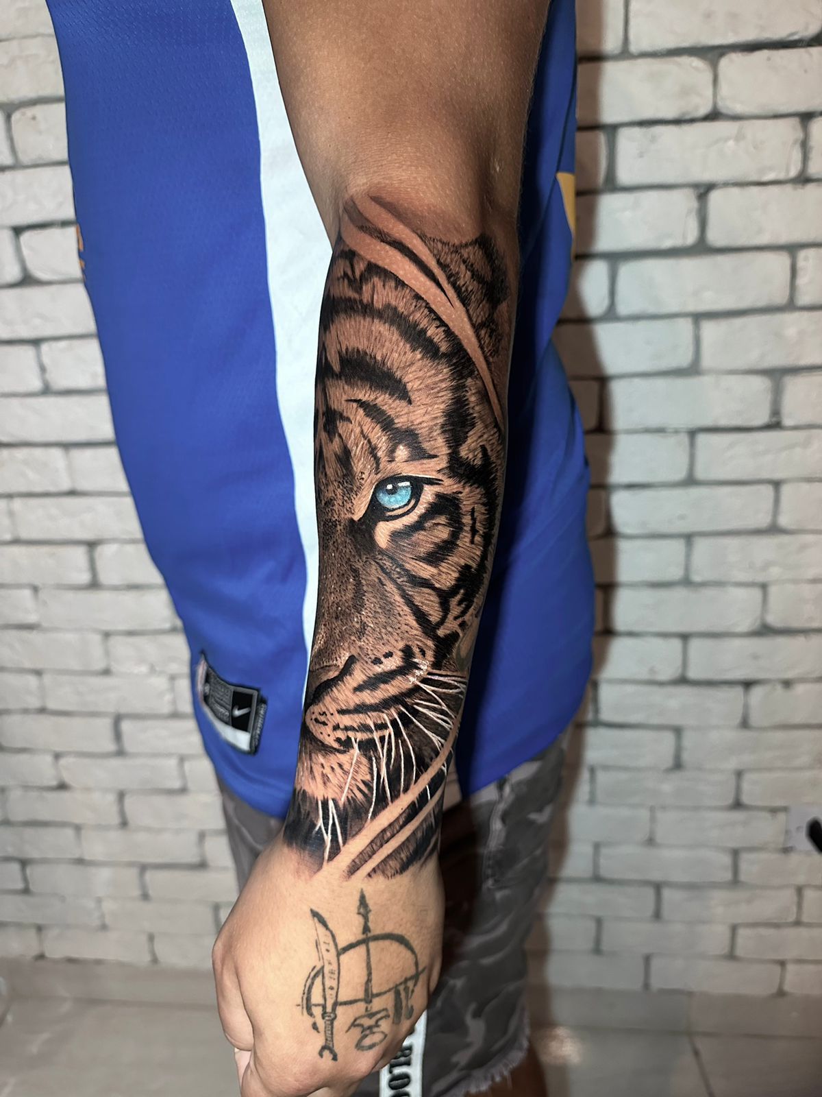 Folivora Tattoo - Anchieta - Image 17